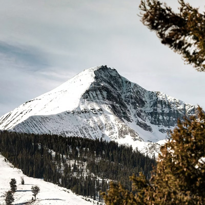 A snow and pine covered foreground with a snow covered peak in the background with a hazy sky