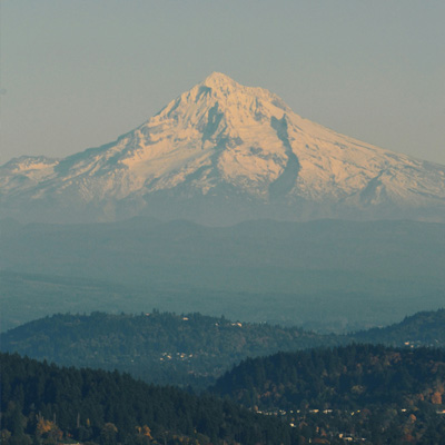 View of pine covered hills in the foreground with snow covered peak in the background